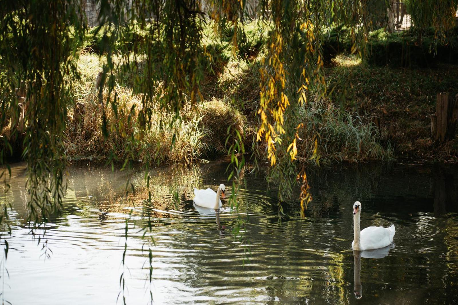 Etno Village Cardaci Vitez Buitenkant foto